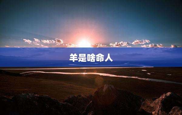 羊是啥命人