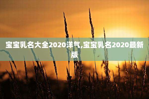 宝宝乳名大全2020洋气,宝宝乳名2020最新版