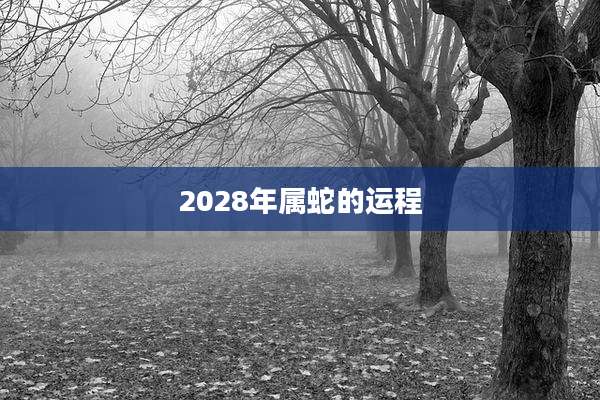 2028年属蛇的运程