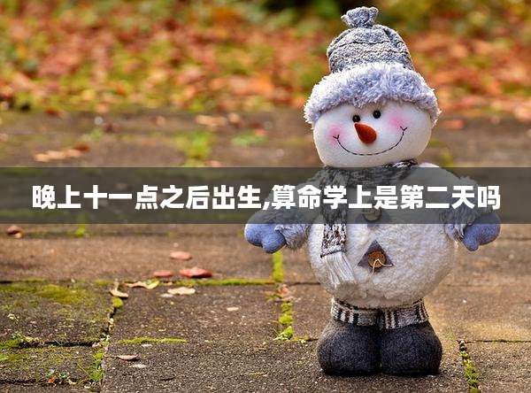 晚上十一点之后出生,算命学上是第二天吗
