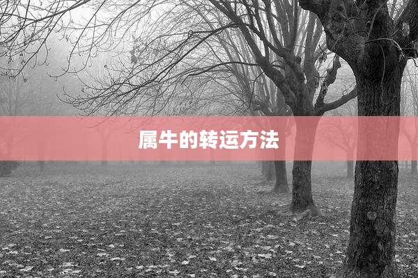 属牛的转运方法