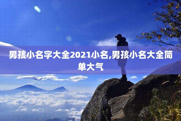 男孩小名字大全2021小名,男孩小名大全简单大气