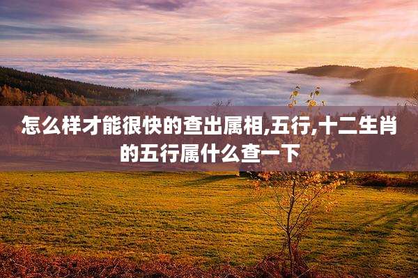怎么样才能很快的查出属相,五行,十二生肖的五行属什么查一下