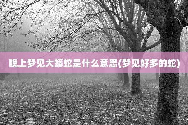 晚上梦见大蟒蛇是什么意思(梦见好多的蛇)