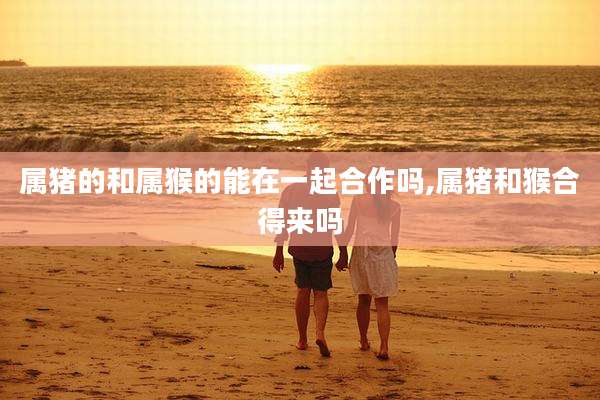 属猪的和属猴的能在一起合作吗,属猪和猴合得来吗