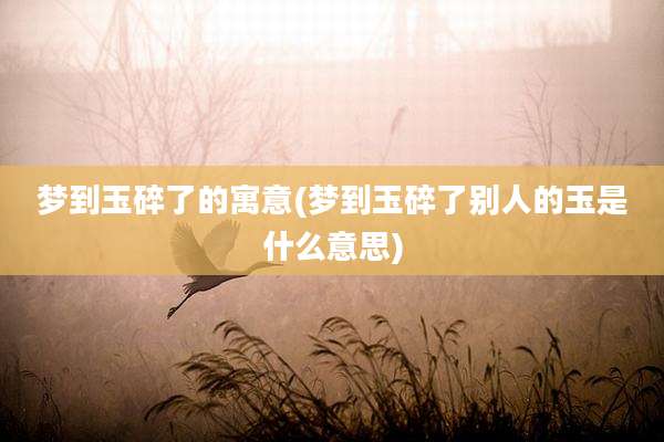 梦到玉碎了的寓意(梦到玉碎了别人的玉是什么意思)