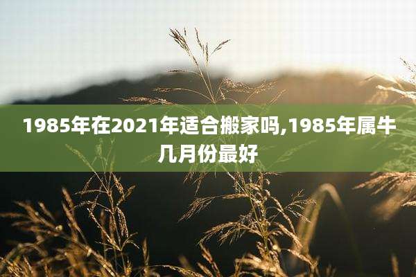 1985年在2021年适合搬家吗,1985年属牛几月份最好