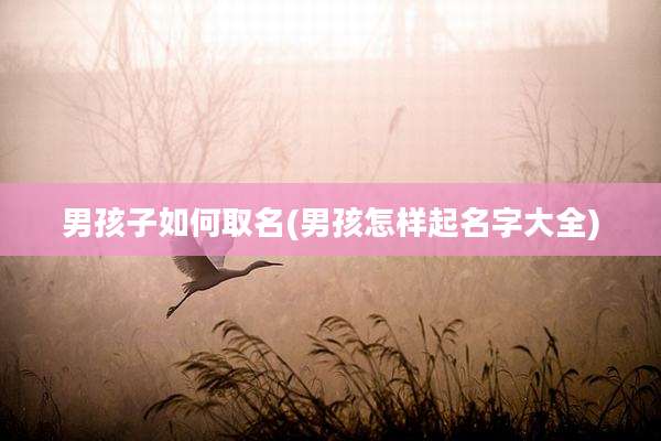 男孩子如何取名(男孩怎样起名字大全)