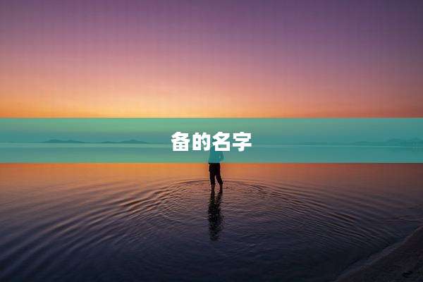 备的名字