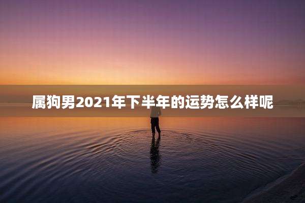属狗男2021年下半年的运势怎么样呢