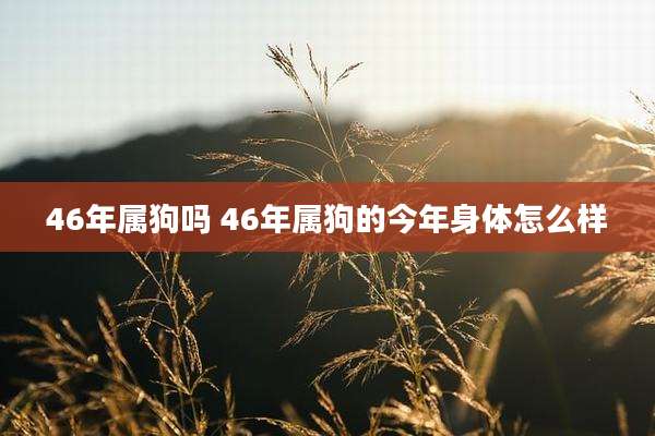 46年属狗吗 46年属狗的今年身体怎么样