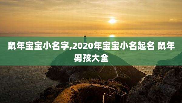 鼠年宝宝小名字,2020年宝宝小名起名 鼠年男孩大全