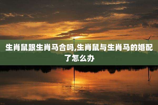 生肖鼠跟生肖马合吗,生肖鼠与生肖马的婚配了怎么办