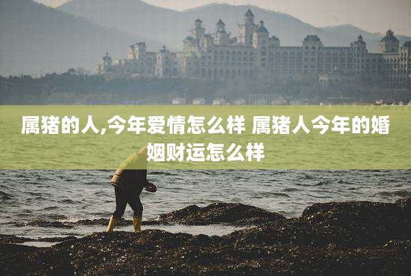 属猪的人,今年爱情怎么样 属猪人今年的婚姻财运怎么样