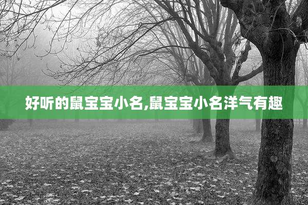 好听的鼠宝宝小名,鼠宝宝小名洋气有趣