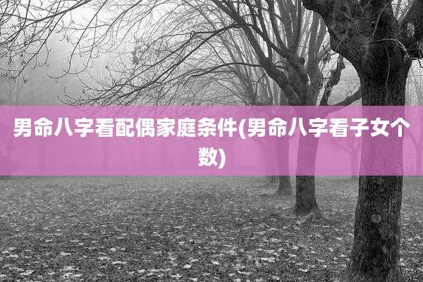 男命八字看配偶家庭条件(男命八字看子女个数)