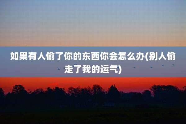 如果有人偷了你的东西你会怎么办(别人偷走了我的运气)
