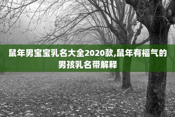 鼠年男宝宝乳名大全2020款,鼠年有福气的男孩乳名带解释