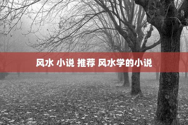 风水 小说 推荐 风水学的小说