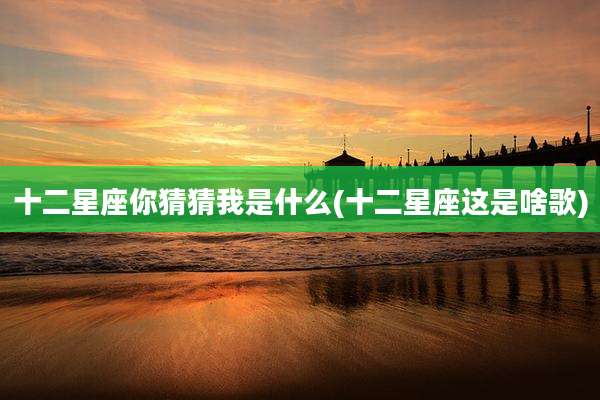 十二星座你猜猜我是什么(十二星座这是啥歌)