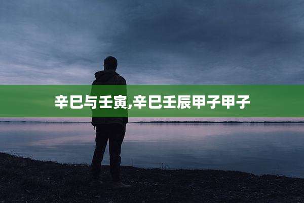 辛巳与壬寅,辛巳壬辰甲子甲子