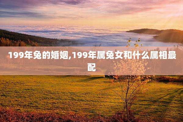 199年兔的婚姻,199年属兔女和什么属相最配