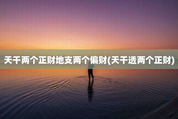 天干两个正财地支两个偏财(天干透两个正财)