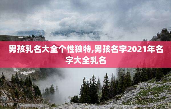 男孩乳名大全个性独特,男孩名字2021年名字大全乳名
