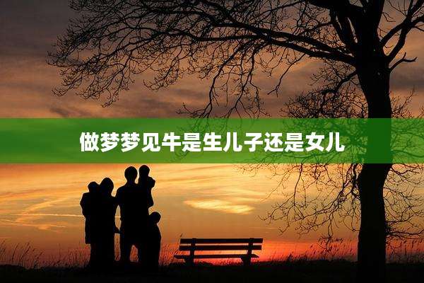做梦梦见牛是生儿子还是女儿