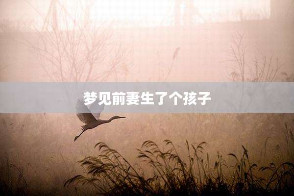 梦见前妻生了个孩子