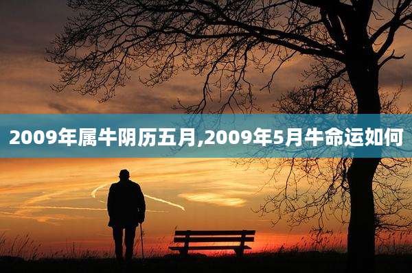 2009年属牛阴历五月,2009年5月牛命运如何