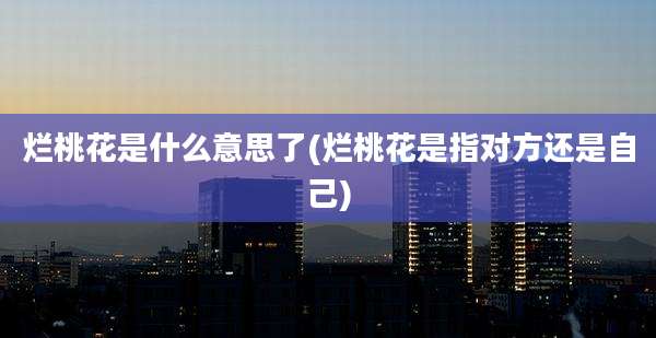 烂桃花是什么意思了(烂桃花是指对方还是自己)