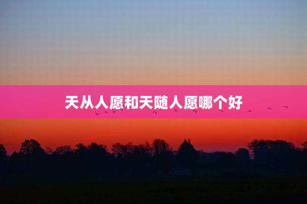 天从人愿和天随人愿哪个好