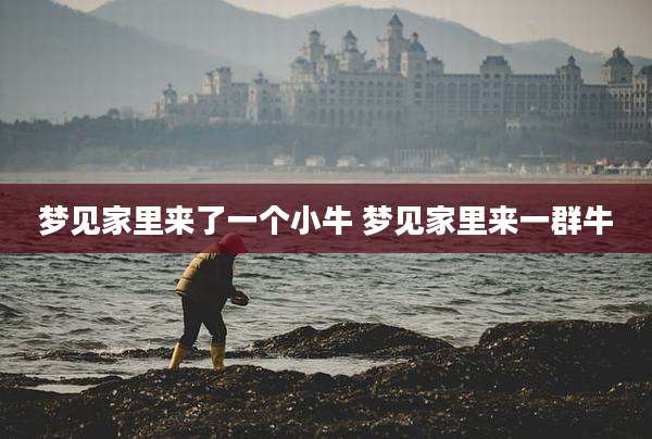 梦见家里来了一个小牛 梦见家里来一群牛