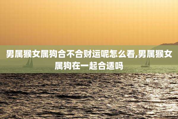 男属猴女属狗合不合财运呢怎么看,男属猴女属狗在一起合适吗