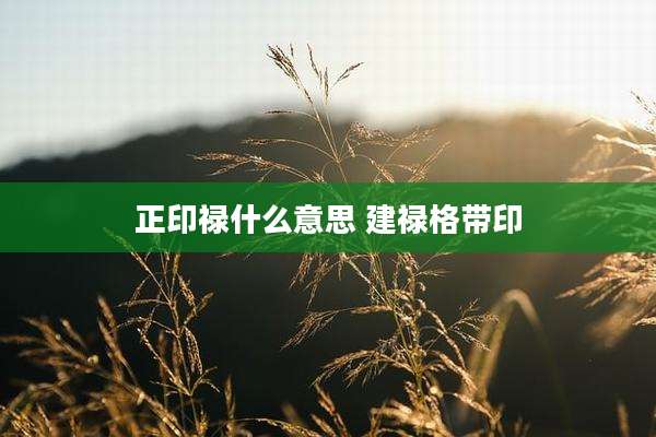 正印禄什么意思 建禄格带印
