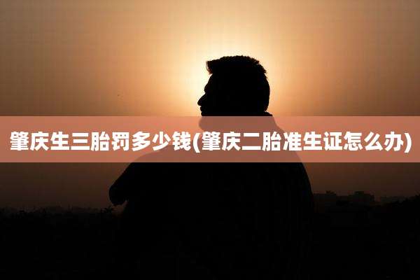 肇庆生三胎罚多少钱(肇庆二胎准生证怎么办)
