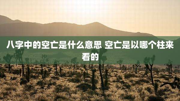 八字中的空亡是什么意思 空亡是以哪个柱来看的