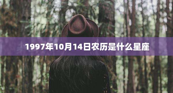 1997年10月14日农历是什么星座