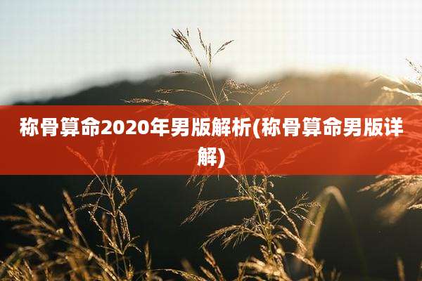 称骨算命2020年男版解析(称骨算命男版详解)
