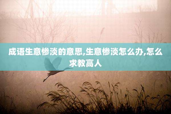 成语生意惨淡的意思,生意惨淡怎么办,怎么求教高人