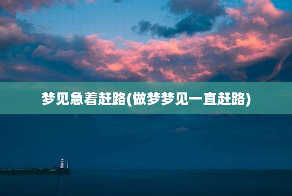 梦见急着赶路(做梦梦见一直赶路)