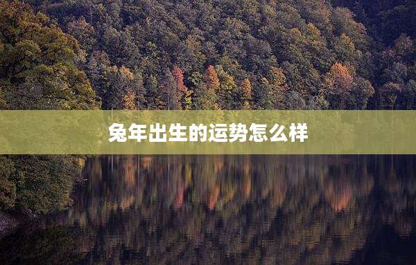 兔年出生的运势怎么样