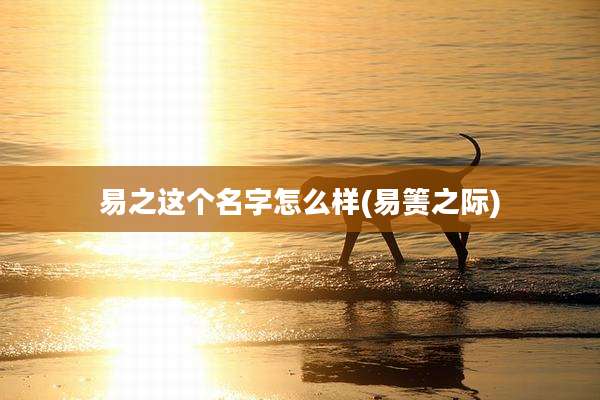 易之这个名字怎么样(易箦之际)