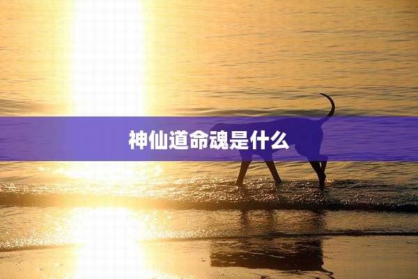 神仙道命魂是什么