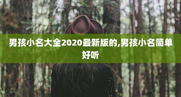 男孩小名大全2020最新版的,男孩小名简单好听