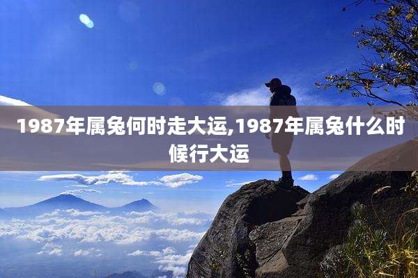 1987年属兔何时走大运,1987年属兔什么时候行大运