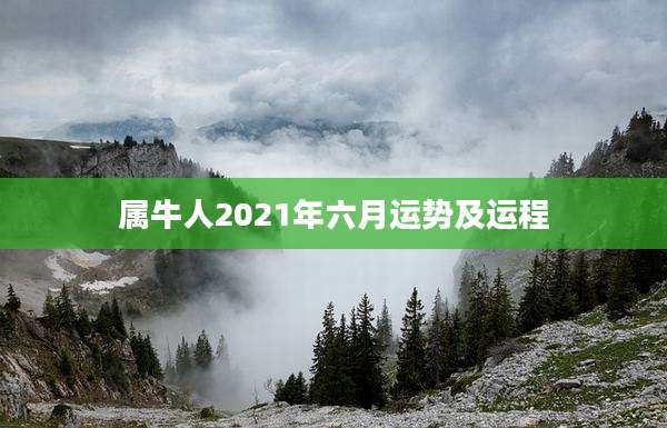 属牛人2021年六月运势及运程