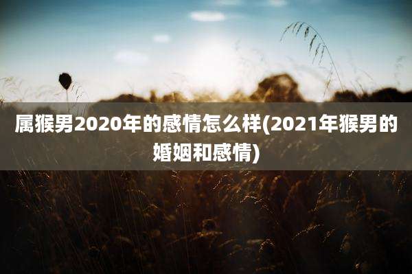 属猴男2020年的感情怎么样(2021年猴男的婚姻和感情)