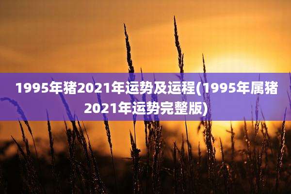 1995年猪2021年运势及运程(1995年属猪2021年运势完整版)